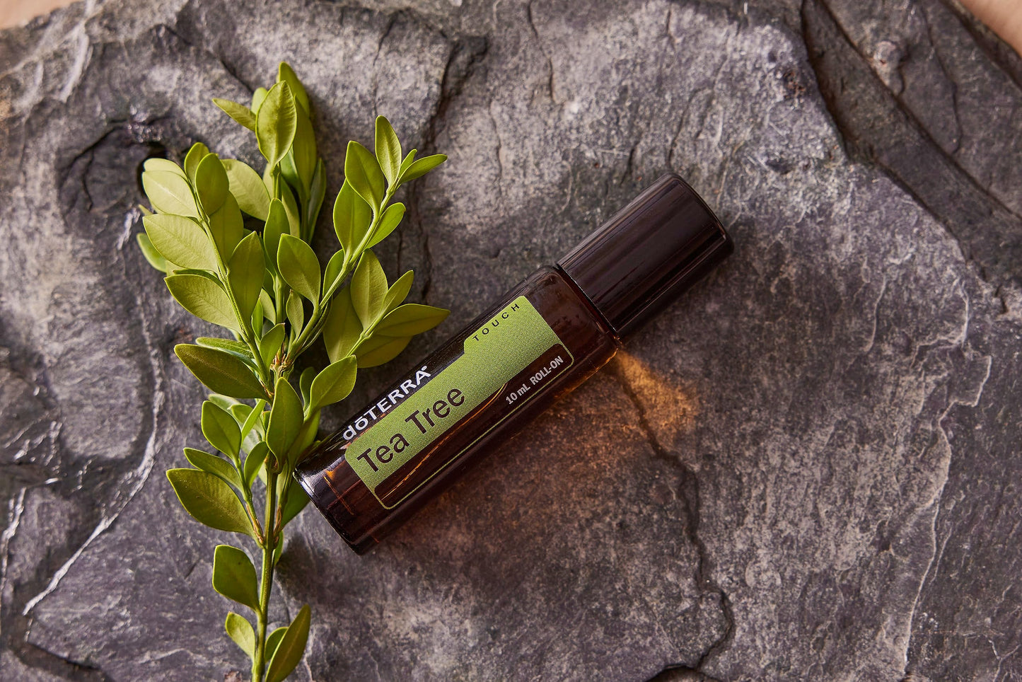 doTERRA - Melaleuca (Tea Tree) Touch Essential Oil - 10 mL Roll On Beauty & Personal Care doTERRA