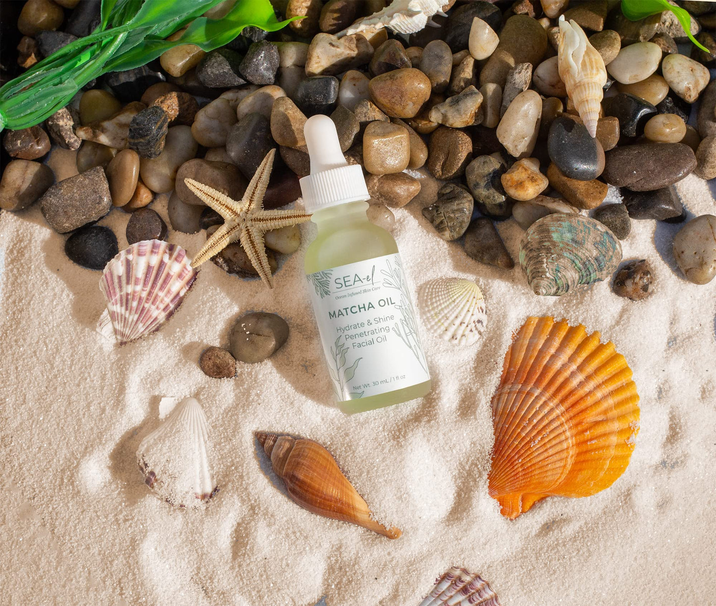 Sea-El Matcha Face Oil Skincare - Hydrating Glow Green Tea & Sea Kelp Facial Oil Blend - Calming & Deeply Penetrating Antioxidant-Rich Moisturizer Beauty & Personal Care Sea-El
