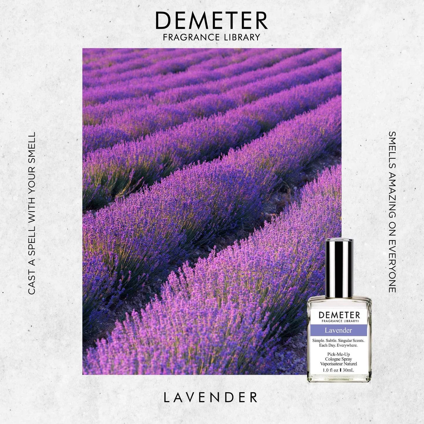 Demeter 1oz Cologne Spray - Lavender Beauty & Personal Care The Library of Fragrance