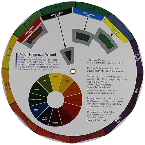 Soft 'N Style Color Wheel Beauty & Personal Care Soft 'N Style