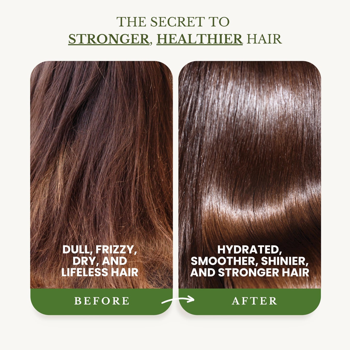 EDENIKA BOTANICALS Tea Tree Oil Shampoo and Conditioner Set, Deep Cleansing for Buildup & Oily Scalp, Soothes Itchy Scalp & Refreshes Hair, Sulfate Beauty & Personal Care EDENIKA BOTANICALS
