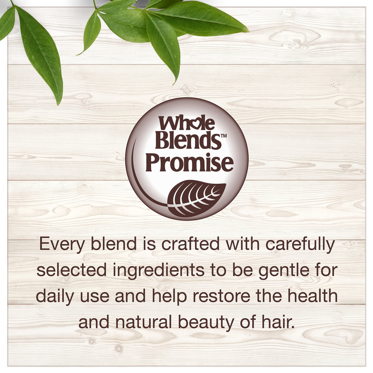 Garnier Whole Blends Moroccan Argan & Camellia Oils Moisturizing Leave-in Conditioner for Dull Hair, 5.1 Fl Oz, 1 Count (Packaging May Vary)