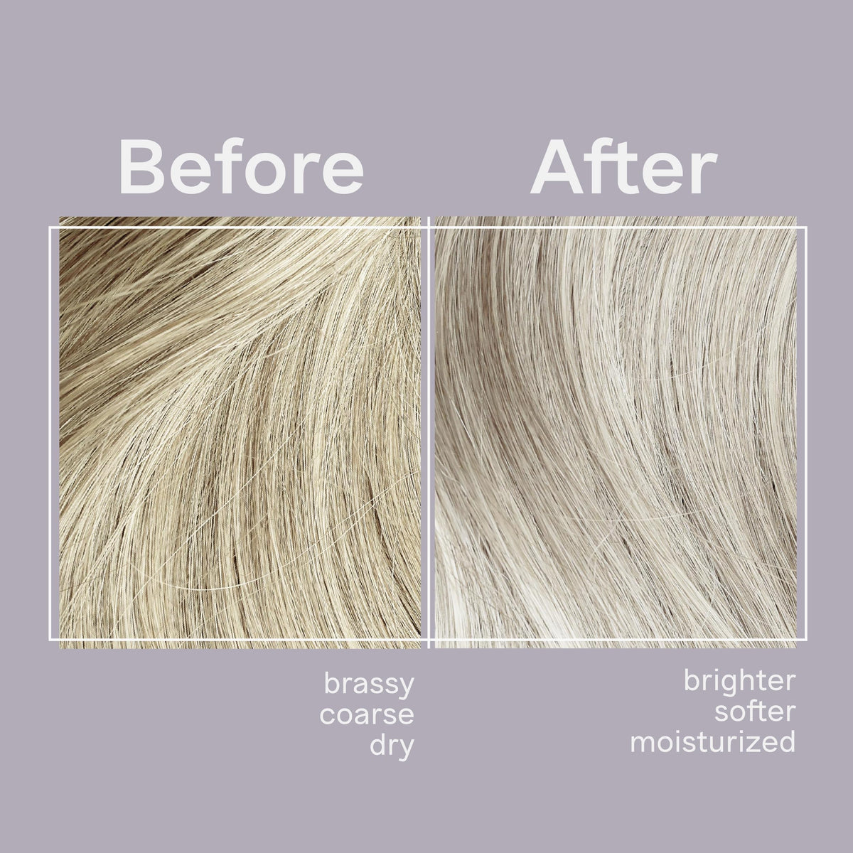 jhirmack Silver Brightening Purple Shampoo Set of 2 for all types of silver, grey, and blonde hair Beauty & Personal Care jhirmack