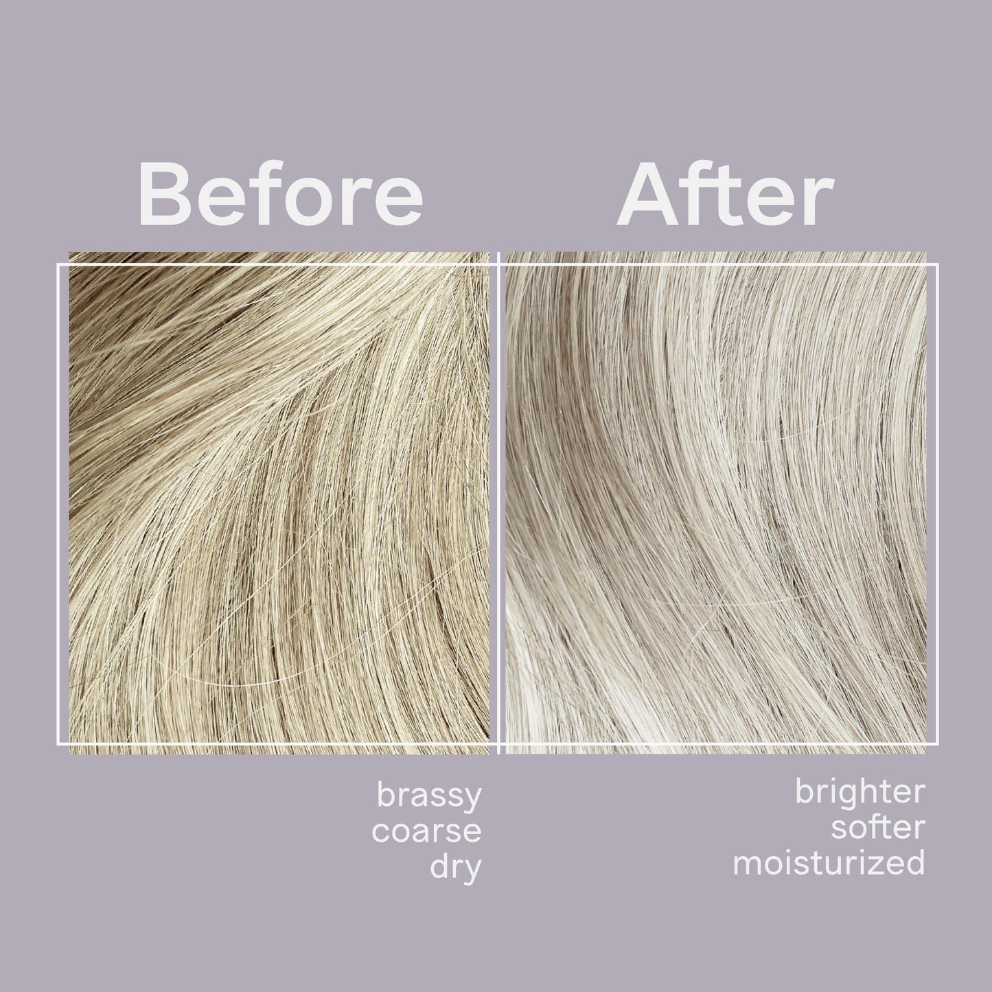Jhirmack Silver Brightening Purple Shampoo and Conditioner Set for all types of silver, grey, and blonde hair Beauty & Personal Care jhirmack