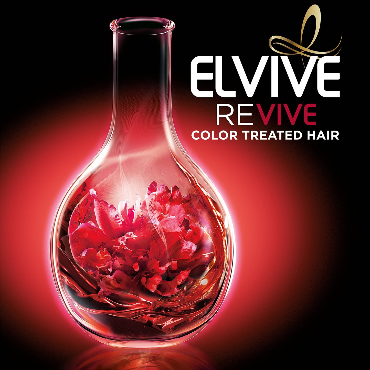 L'Oréal Paris Hair Expert Color Vibrancy Intensive Shampoo, 12.6 fl. oz. (Packaging May Vary) Beauty & Personal Care L'Oreal Paris