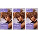 Dark & Lovely Color #380 Chestnut Blonde (Pack of 3) Beauty & Personal Care Dark and Lovely