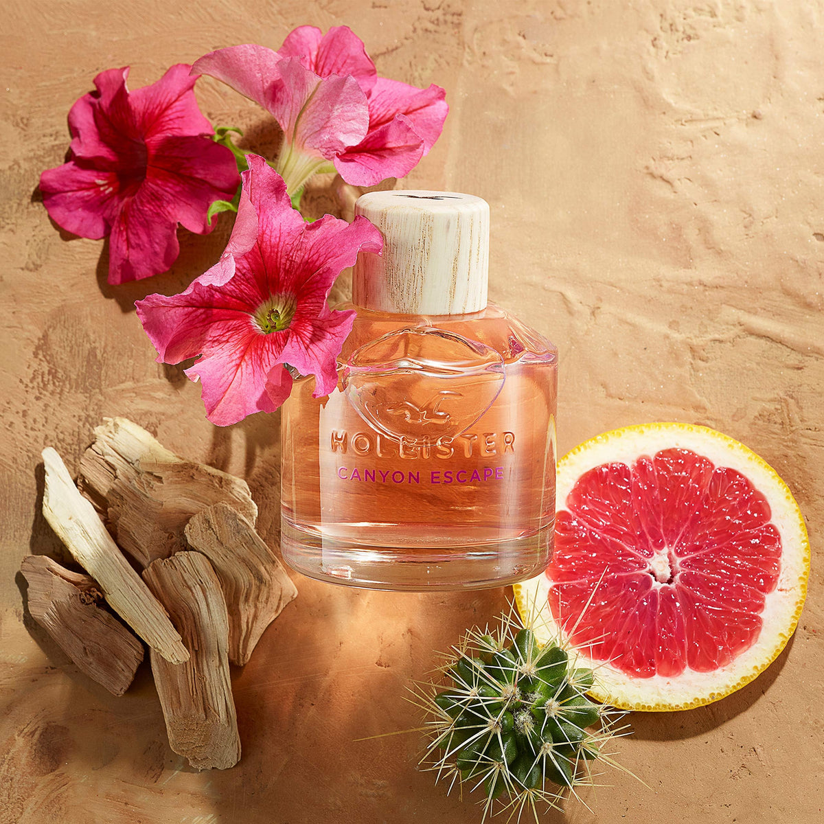 Hollister Canyon Escape Women EDP Spray 3.4 oz, (HO26700) Beauty & Personal Care Hollister