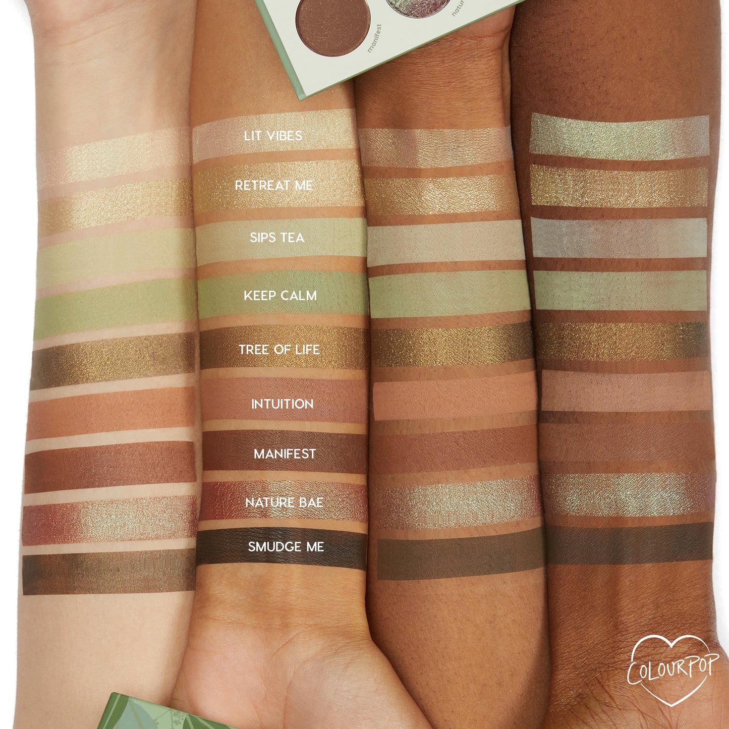ColourPop Sage the Day Eyeshadow Palette - Sage & Olive Palette with Metallic and Matte Finishes - High-Pigment Eye Makeup with a Long-Wearing Formula Beauty & Personal Care ColourPop