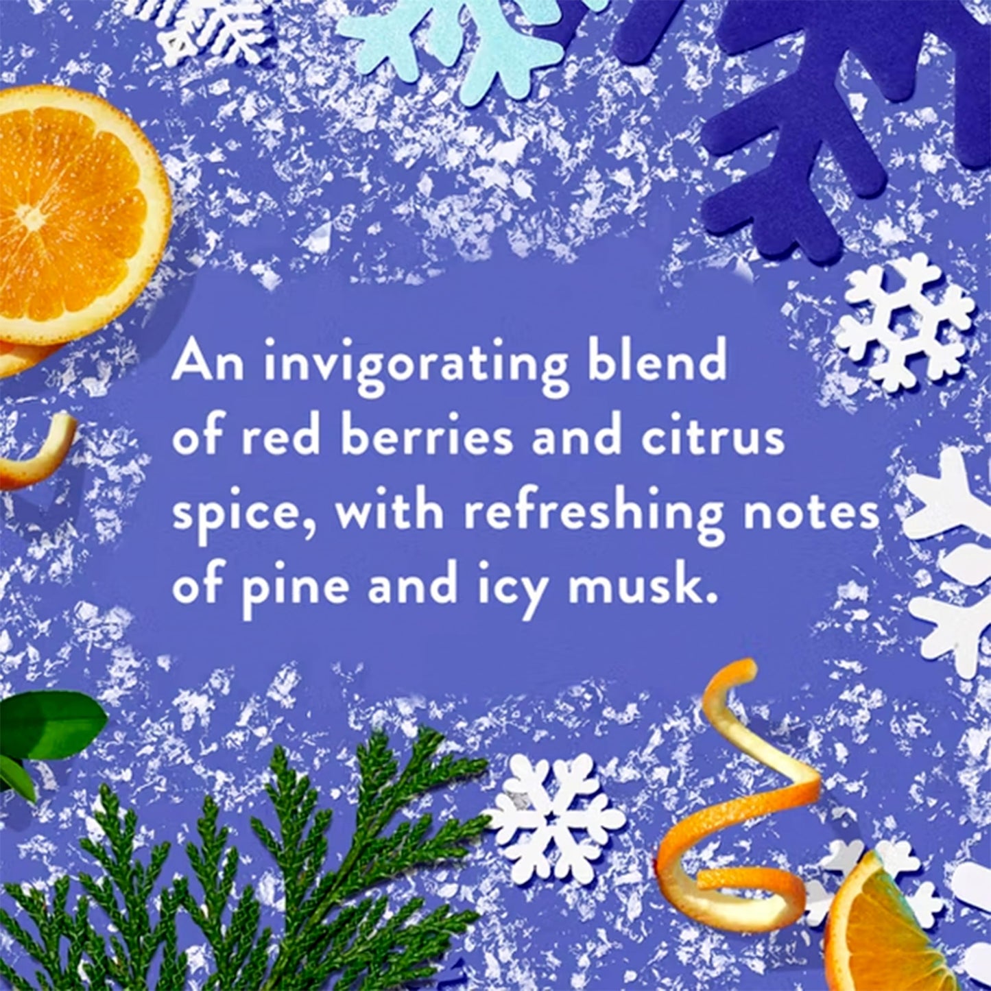 Native Holiday Limited Edition Alpine Air Moisturizing Conditioner and Shampoo - 16.5 fl oz. - Pack Of 02 Beauty & Personal Care Native