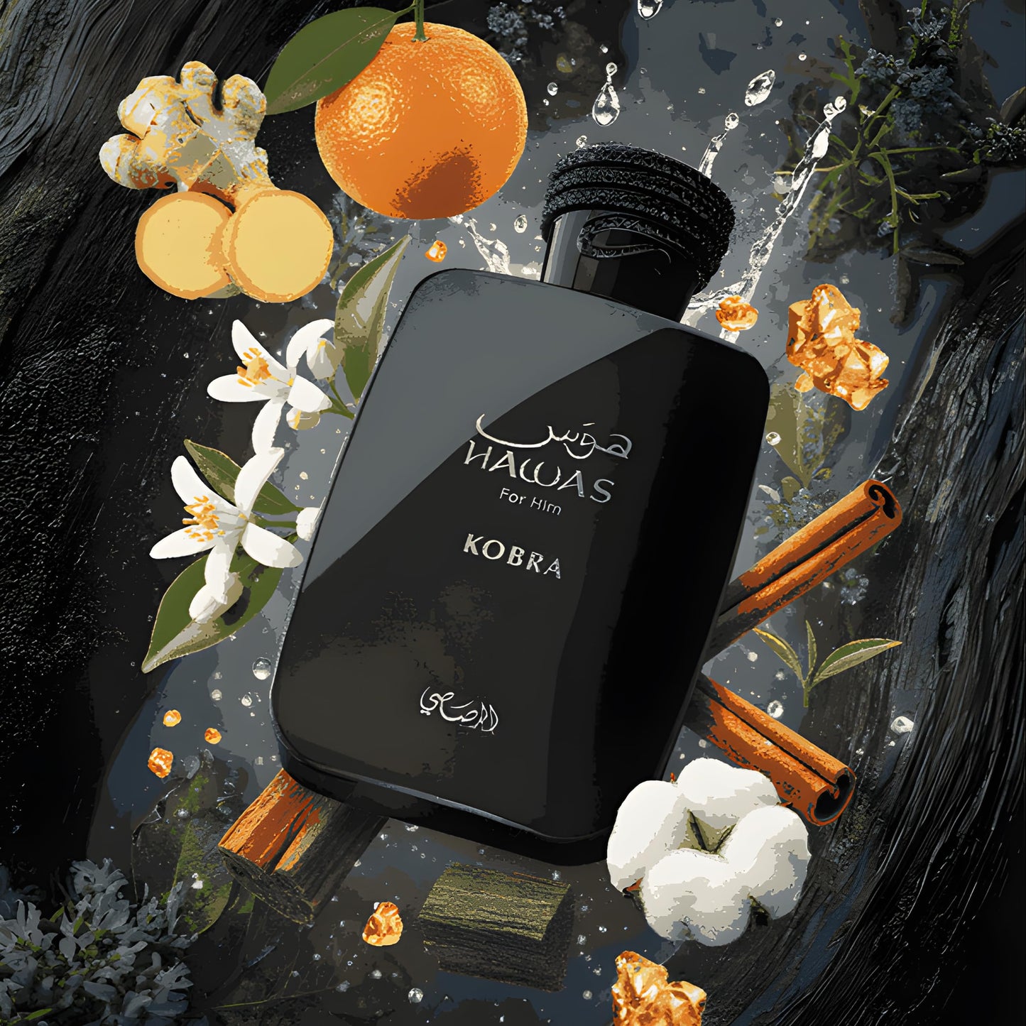 RASASI Hawas Kobra Beauty & Personal Care RASASI
