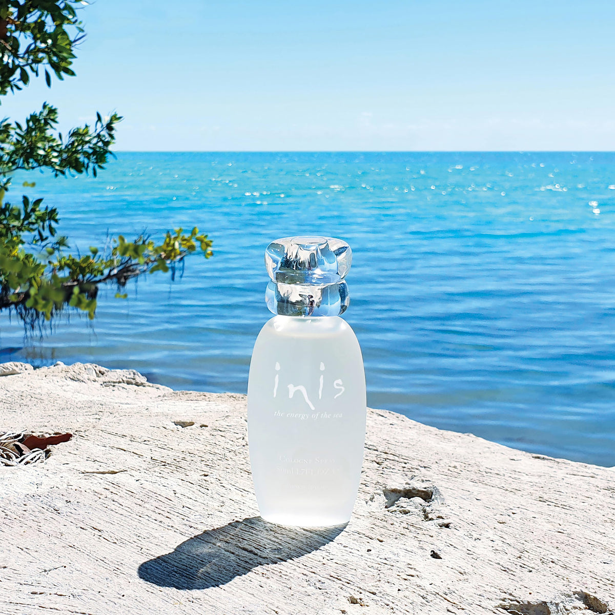 Inis the Energy of the Sea Cologne Spray - Unisex Perfume for Women and Men - Clean, Fresh, Ocean Cologne - 1.7 Fl Oz Beauty & Personal Care Inis the Energy of the Sea