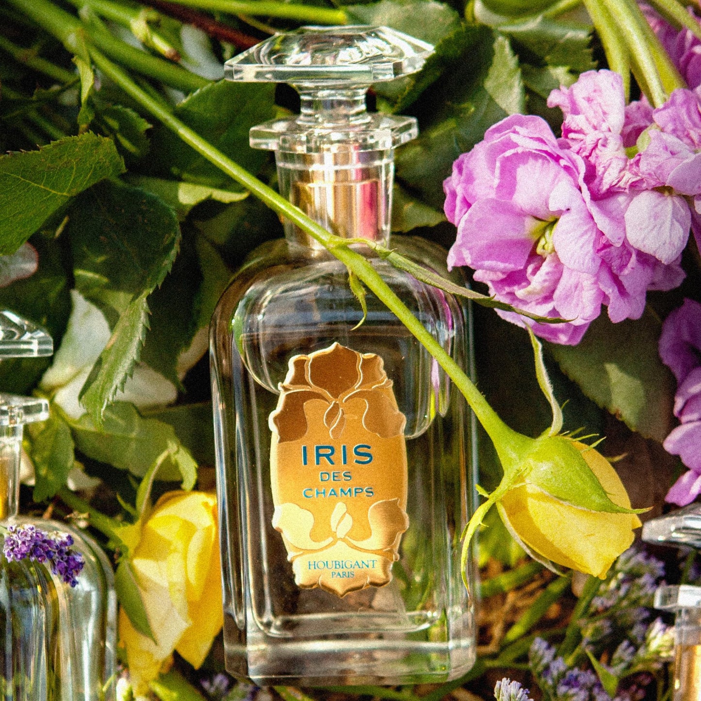 Houbigant, Iris des Champs Extrait de Parfum Travel Set Refill Beauty & Personal Care Houbigant