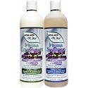 Vitamyr Henna Care Set 16 Oz Natural Shampoo & 16 Oz Natural Conditioner Vibrant Color Care & Nourishment for Gorgeous Tresses Beauty & Personal Care VITA-MYR