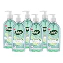 Dalan Fresh Cucumber Multicare Ultra Moisturizing Liquid Hand Soap for Normal and Dry Hands Fresh Clean and Soft Feeling (13.5 Fl Oz / 400 mL (Pack Beauty & Personal Care Dalan