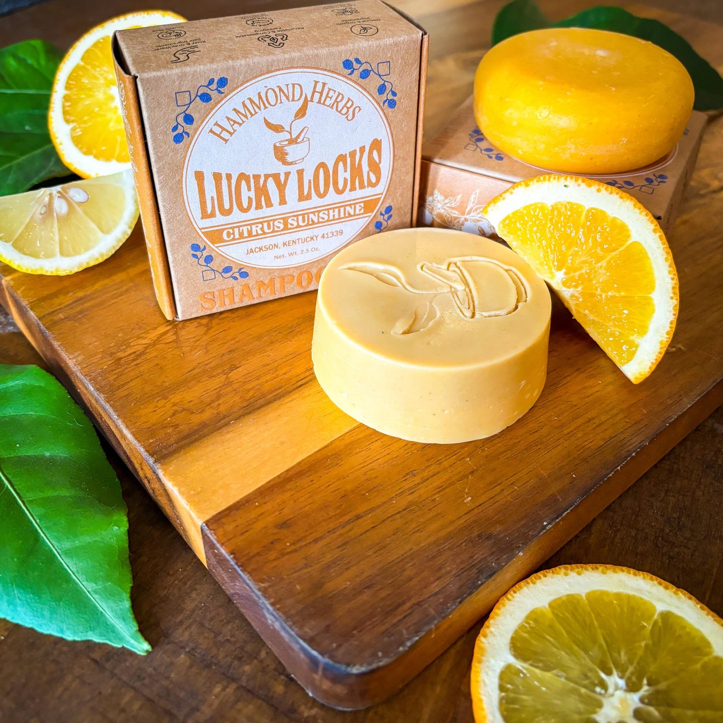 Lucky Locks | Pick Your Scent | Natural Shampoo & Conditioner Bar Set | Zero Waste Hair Care | Sulfate Free (Citrus Sunshine) Beauty & Personal Care Hammond Herbs