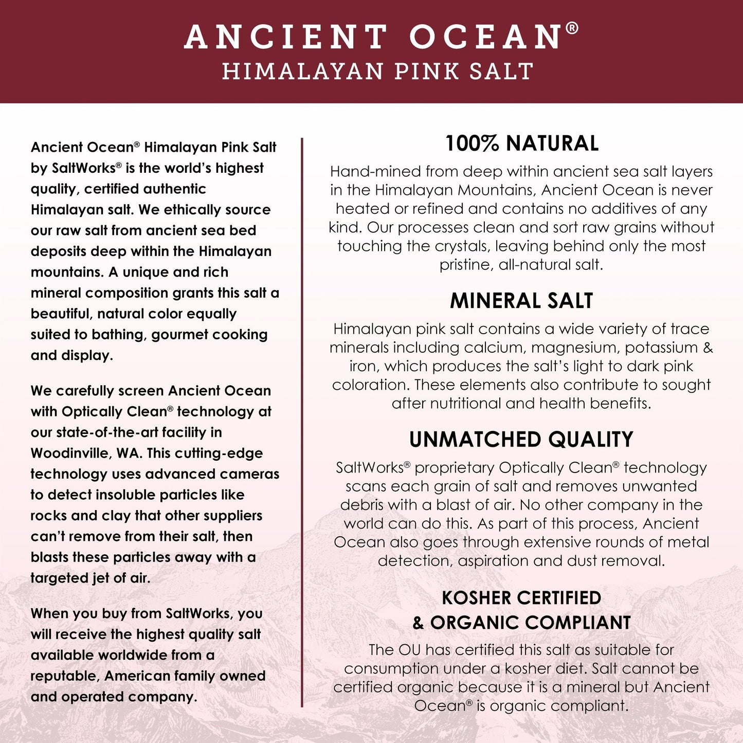 SaltWorks Ancient Ocean Himalayan Pink Salt, Coarse Grain, 5 Pound Bag Beauty and Personal Care SaltWorks