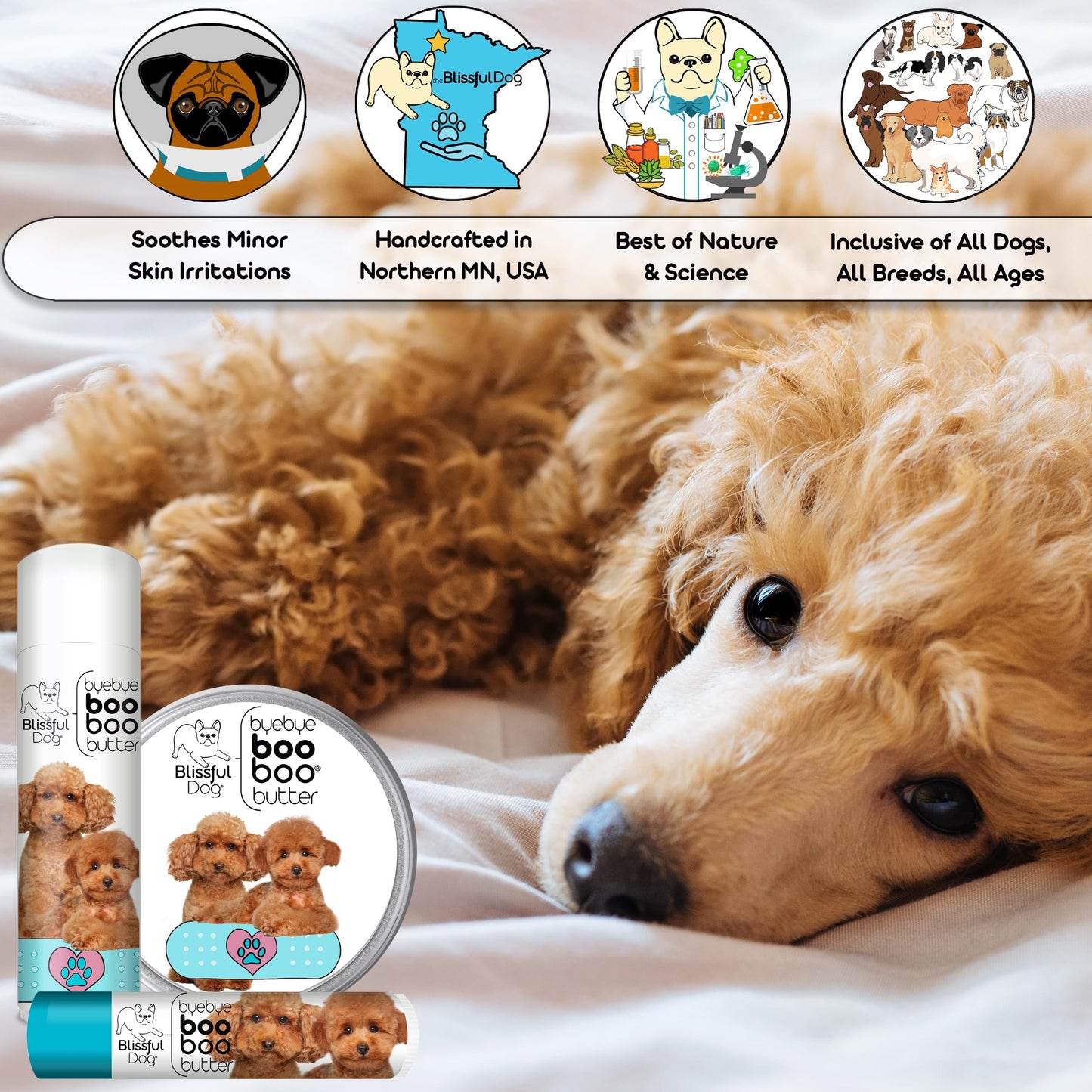 The Blissful Dog .50 oz Tube Poodle Booboo Butter Beauty and Personal Care The Blissful Dog