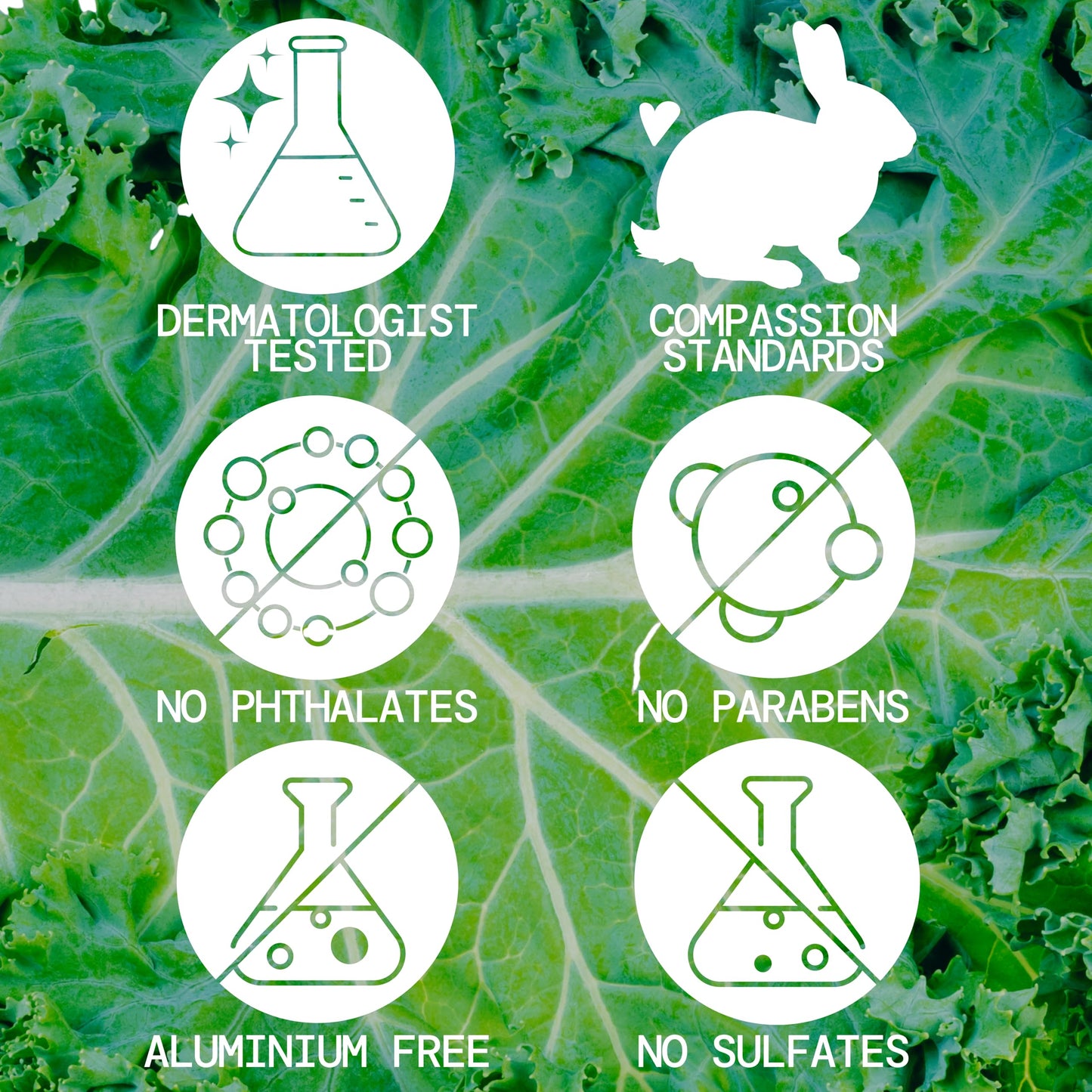Pacifica Kale Smoothie Face Lotion, Refining Skincare, Face Moisturizer, Niacinamide, Vitamin C and E, Minimize Pores, Face Serum, For All Skin Types Beauty & Personal Care Pacifica
