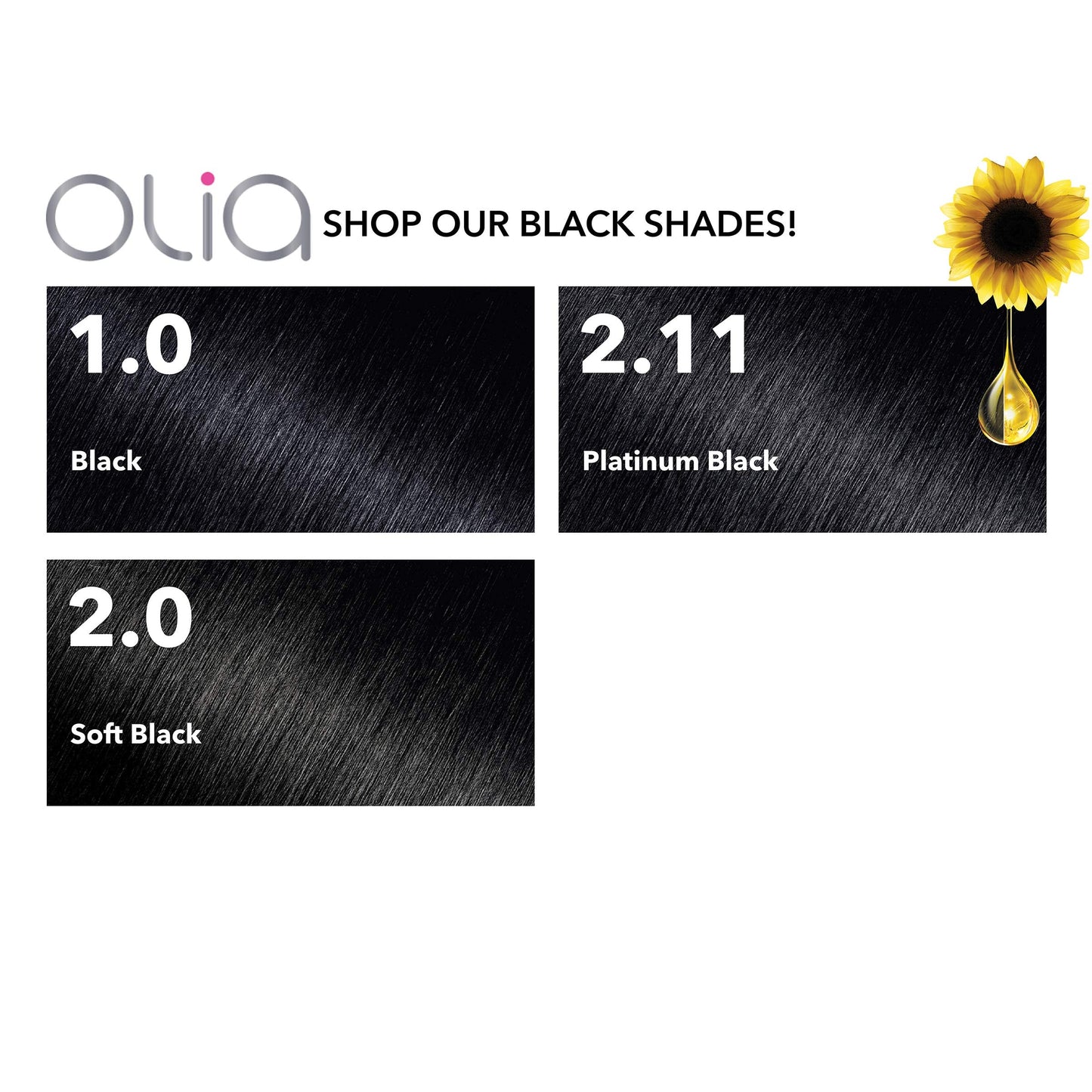 Garnier Olia Ammonia Free Permanent Hair Color, 100% Gray Coverage (Packaging May Vary), 2.0 Soft Black Hair Dye, Pack of 1 Beauty & Personal Care Garnier