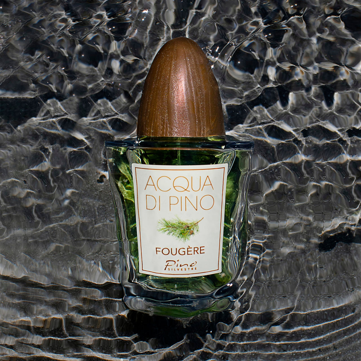 Acqua Di Pino Fougere By Pino Silvestre For Men - A Men's Eau De Toilette Cologne Perfume Spray With An Intense Fragrance For Every Guy - A Truly Male Beauty & Personal Care Pino Silvestre