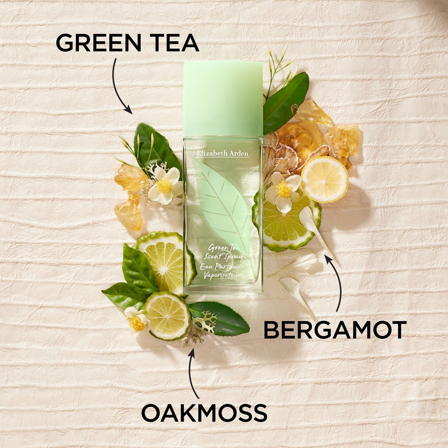 Elizabeth Arden Green Tea Women's Perfume Fragrance, Fresh & Floral Parfum with Notes of Bergamot, Tea and Oakmoss, Eau de Toilette, 1.7 Oz Beauty & Personal Care Elizabeth Arden