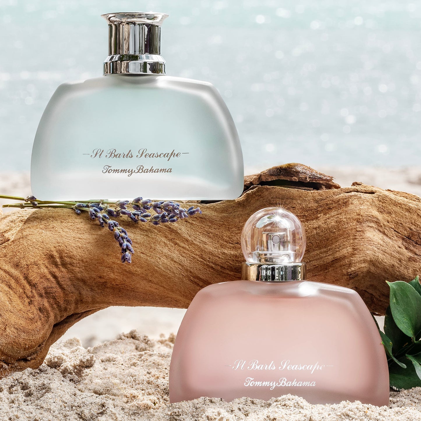 Tommy Bahama Seascape Eau De Parfum for Women Beauty & Personal Care Tommy Bahama