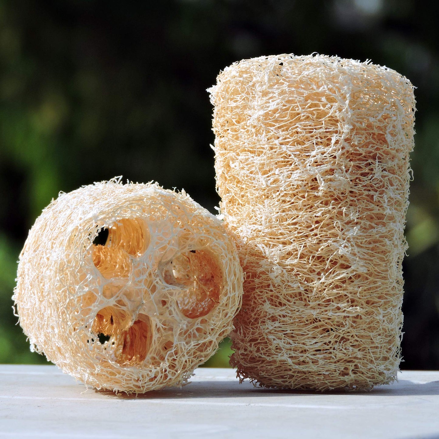 HealthGoodsIn - Organic Loofa Natural Bath Sponge, Set of 2 Exfoliating Bath Sponge Scrubber | Naturally Grown Loofah (Set of 2) Beauty & Personal Care HealthGoodsIn