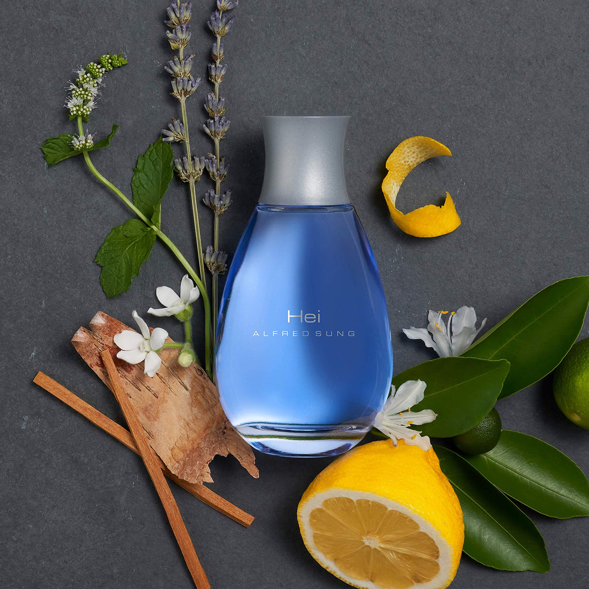 ALFRED SUNG HEI Cologne For Men, Eau De Toilette Spray Vaporisation for Day or Night, 3.4 oz Beauty & Personal Care ALFRED SUNG