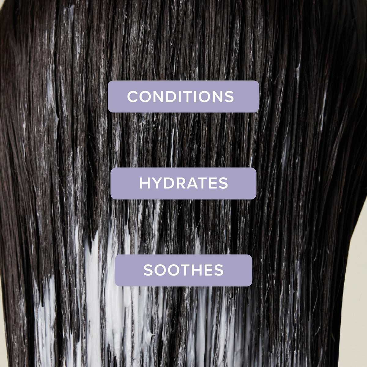 Tea Tree Lavender Mint Moisturizing Conditioner, Hydrates + Soothes, For Coarse + Dry Hair, 2.5 fl. oz.