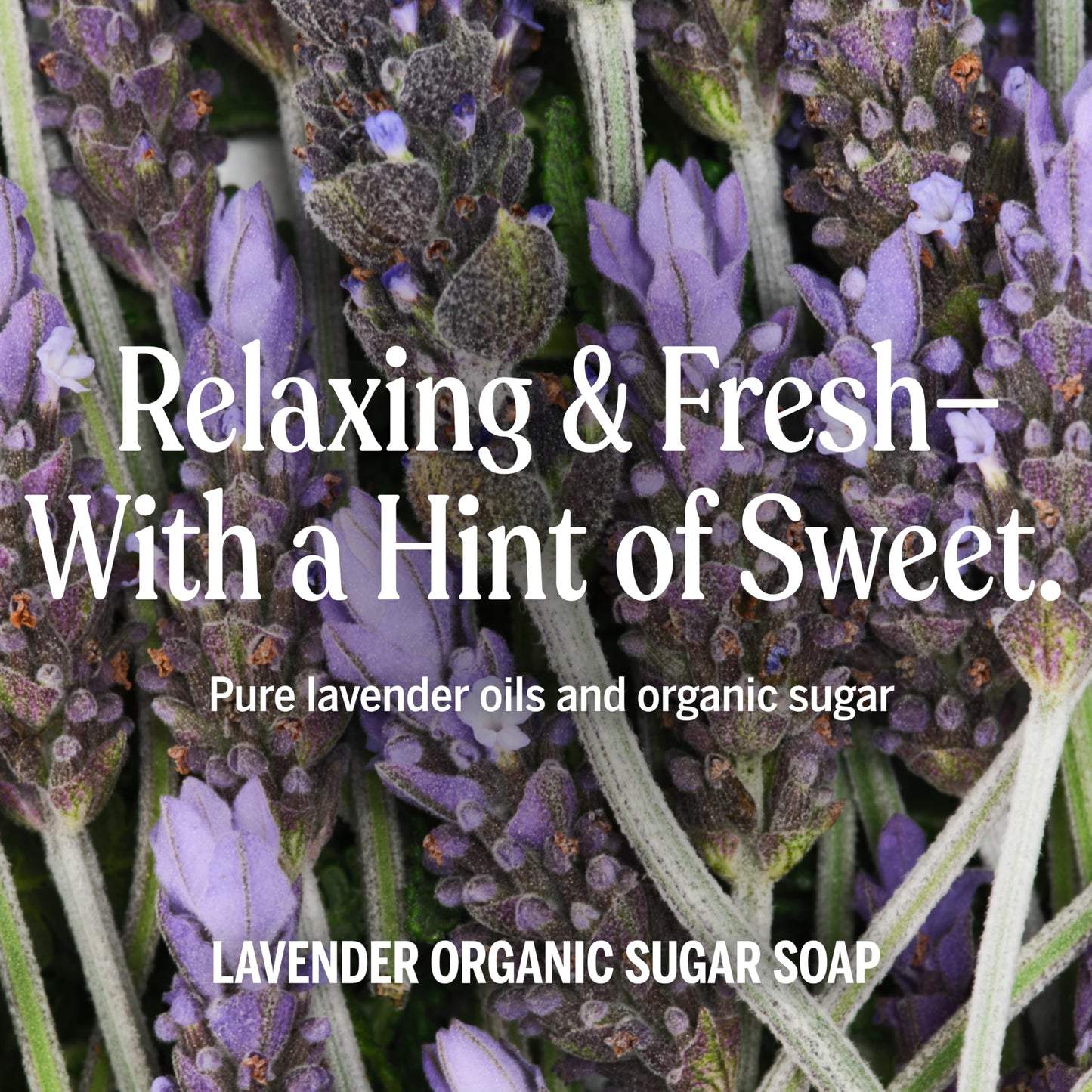 Dr. Bronner's - Organic Sugar Soap (Lavender, 24 Ounce) - Made with Organic Oils, Sugar and Shikakai Powder, 4-in-1 Uses: Hands, Body, Face and Hair Beauty & Personal Care Dr. Bronner's
