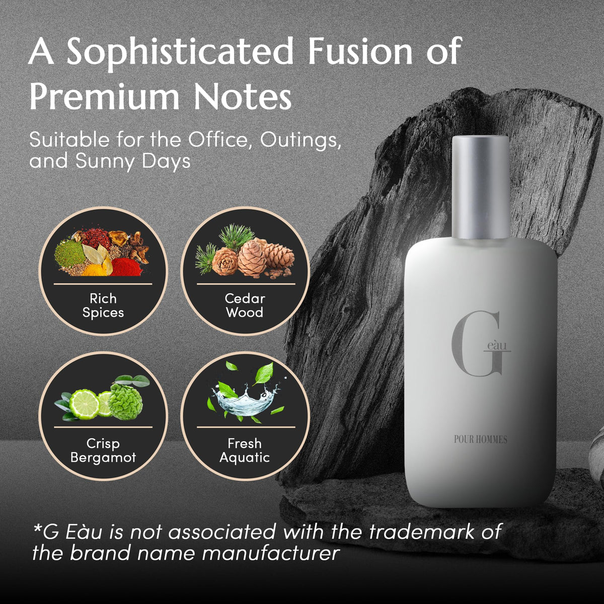 PB ParfumsBelcam G eàu Eau de Toilette Perfume Spray for Men - 3.4 Fl Oz Affordable Long Lasting Cologne, Modern Masculine Scent with Woody Citrus Beauty & Personal Care PB ParfumsBelcam