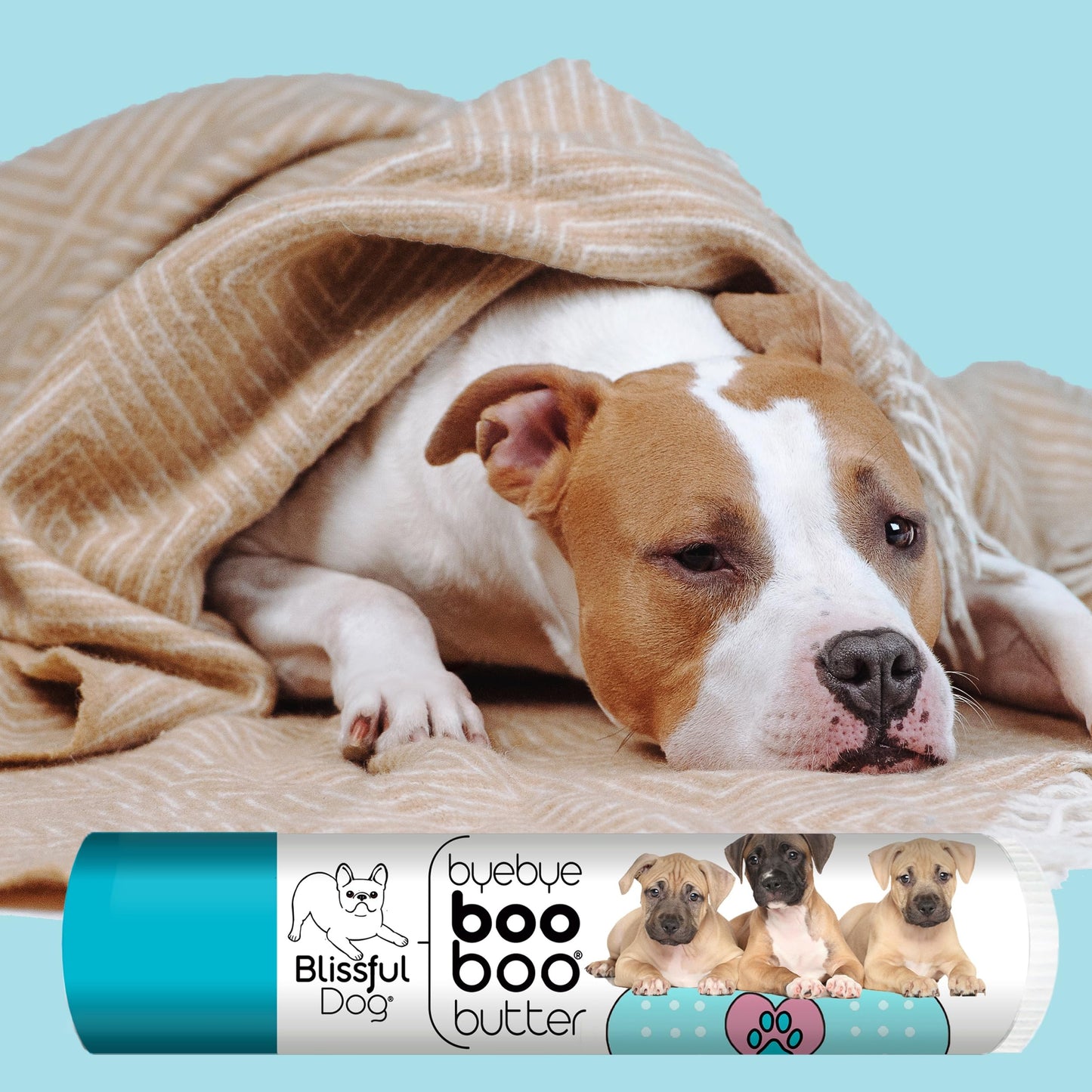 The Blissful Dog .15 oz Tube American Staffordshire Terrier Booboo Butter Beauty and Personal Care The Blissful Dog