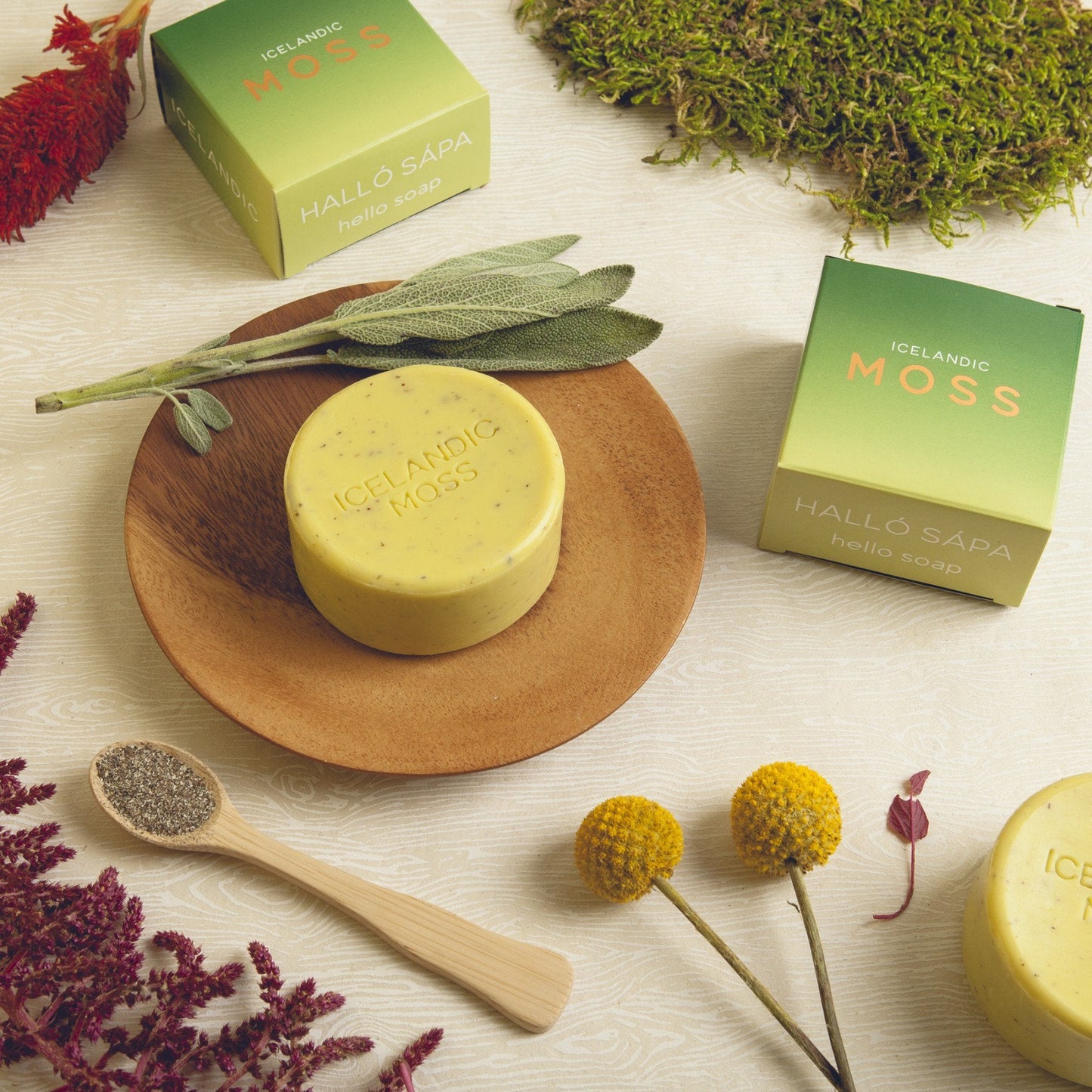 Kalastyle Hallo Sapa Icelandic Moss Soap - 4.3 oz Beauty & Personal Care Kalastyle
