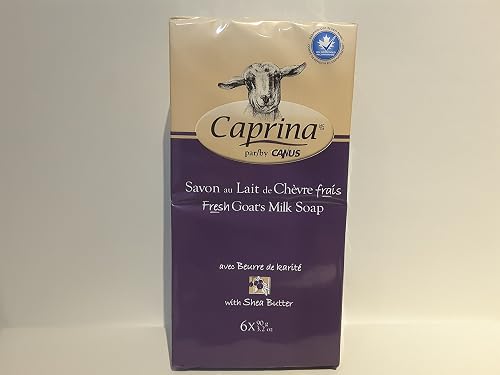 Caprina by Canus Goat Milk Soap Bar, SHEA BUTTER, 3.2 oz (90 g) Bars, 6-Pack, Moisturizing Daily Cleanser for Face, Hands & Body, Fresh Canadian Goat Beauty & Personal Care Caprina