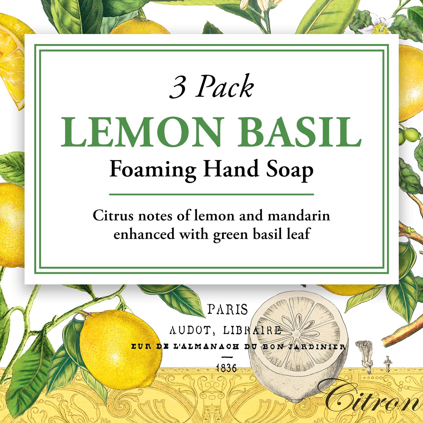 Michel Design Works Foaming Hand Soap, Lemon Basil, 3-Pack, 17.8 Fl oz Each Beauty & Personal Care Michel Design Works