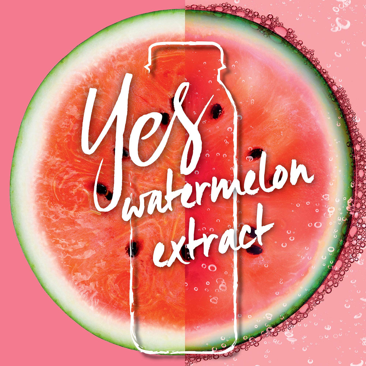 Garnier Fructis Plumping Treat Conditioner + Watermelon Extract