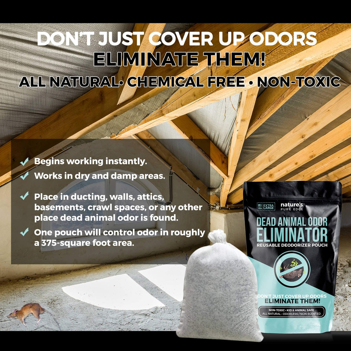 Dead Animal Smell Eliminator Pouch - Fragrance-Free Activated Charcoal Odor Absorber With Specialized Zeolite- Attics, Walls, Crawlspaces. For After Beauty and Personal Care Nature's Pure Edge