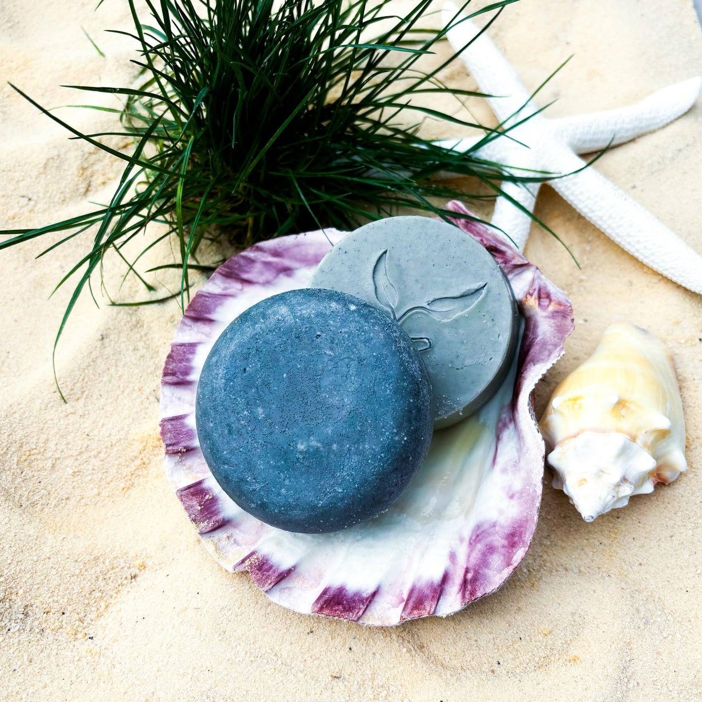 Lucky Locks | Pick Your Scent | Natural Shampoo & Conditioner Bar Set | Zero Waste Hair Care | Sulfate Free (Mystic Lagoon) Beauty & Personal Care Hammond Herbs