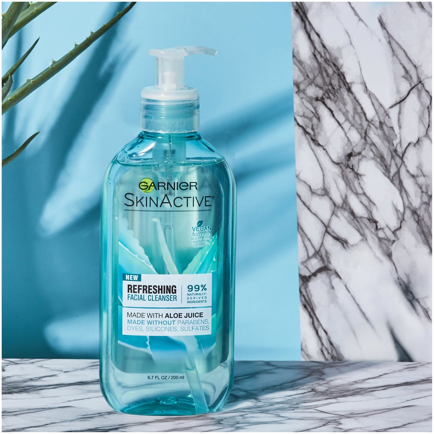 Garnier SkinActive Face Wash with Aloe Juice, For Dry Skin, 6.7 fl. oz. Beauty & Personal Care Garnier