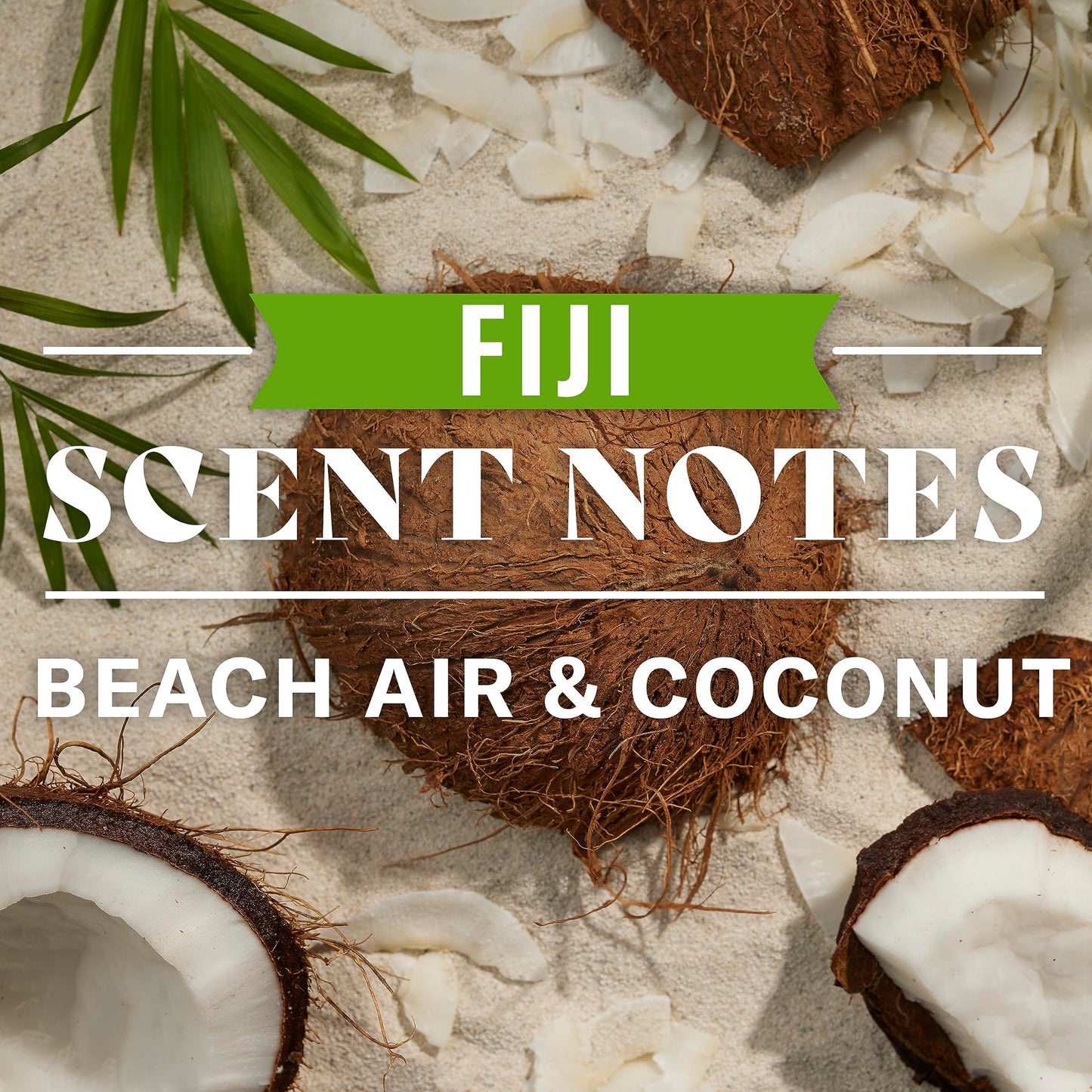Old Spice Fiji 2-in-1 Shampoo and Conditioner for Men, 22 Fl Oz Beauty & Personal Care Old Spice