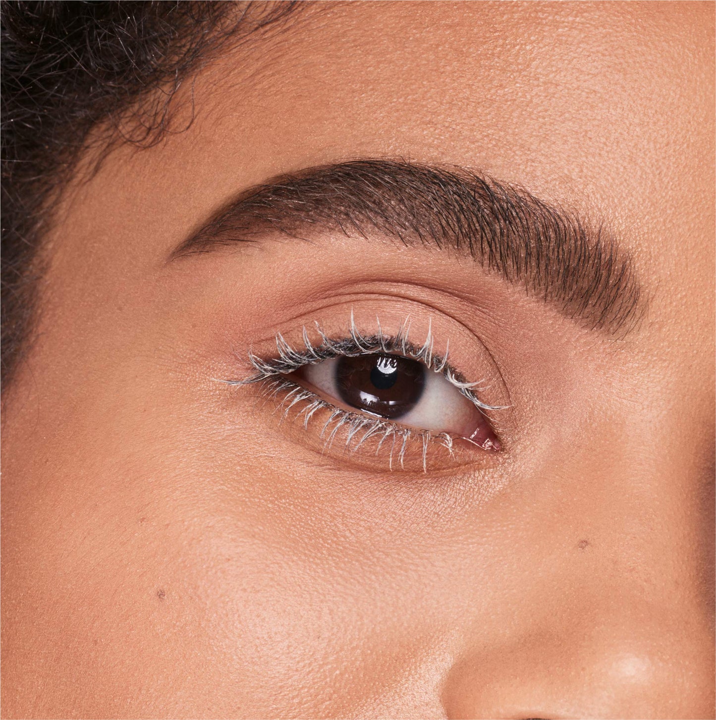 Covergirl Lash Blast Amplify Eyelash Primer, Neutral White , 0.44 Fl Oz (Pack of 1) Beauty and Personal Care COVERGIRL