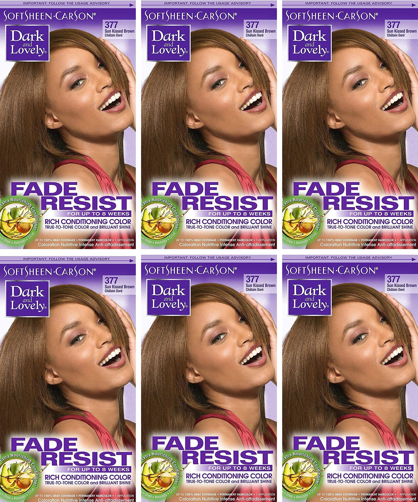 Dark & Lovely Color #377 Sun Kissed Brown (Pack of 6) Beauty & Personal Care Dark and Lovely