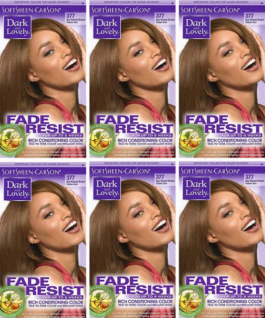 Dark & Lovely Color #377 Sun Kissed Brown (Pack of 6) Beauty & Personal Care Dark and Lovely