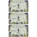 Saponeria Nesti Firenze:"Lavanda Toscana" Relaxing Triple Milled Perfumed Vegetal Soap,"Dei Colli Fiorentini" Line 8.8 Ounces (250g) Package (Pack Beauty & Personal Care Saponeria Nesti Firenze