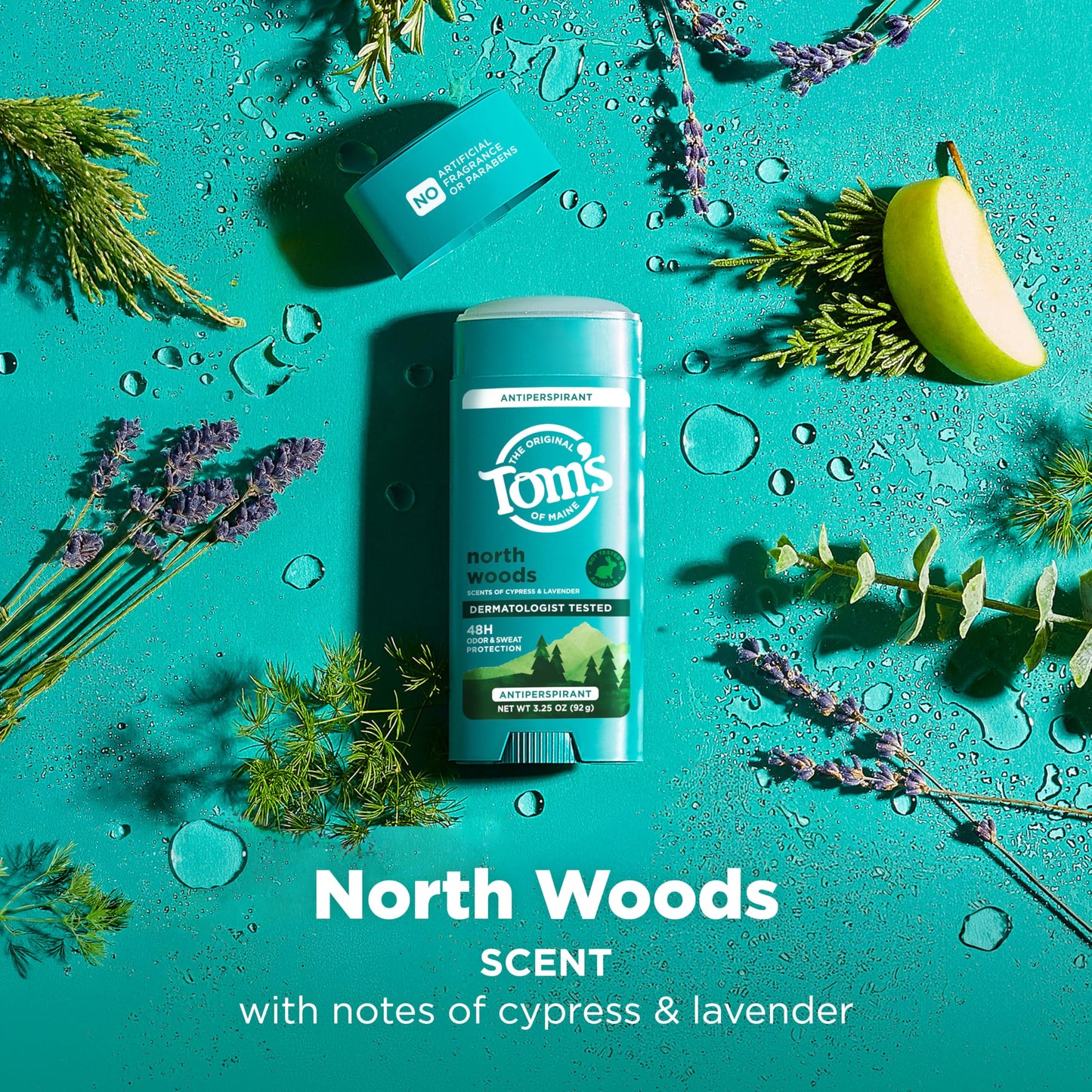 Tom’s of Maine North Woods Antiperspirant for Men and Women, No Artificial Fragrances, Dyes, or Preservatives, Baking Soda Free, 48-Hour Odor Beauty and Personal Care Tom's of Maine