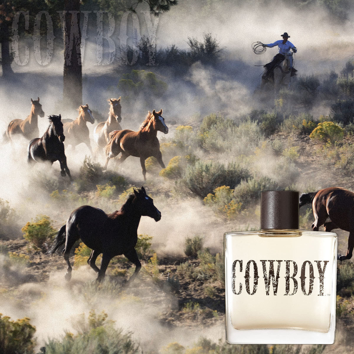 Tru Western Cowboy Men's Cologne, 3.4 fl oz (100 ml) - Woodsy, Warm, Rugged Beauty & Personal Care Tru Fragrance Beauty