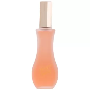 Giorgio Beverly Hills Holiday Eau De Toilette Spray for Women, 3 Ounce