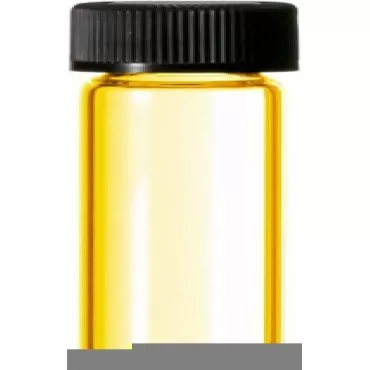 Indigo - Type for Men Cologne Body Oil Fragrance [Regular Cap - 1/8 oz.]