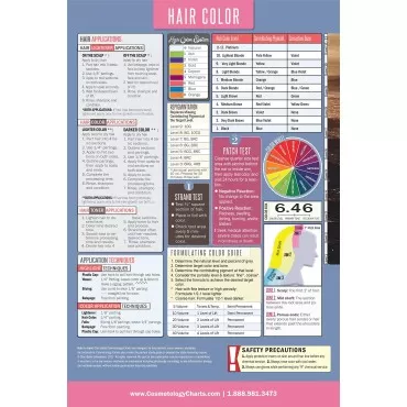 Salon Hair Color Laminated Poster 18