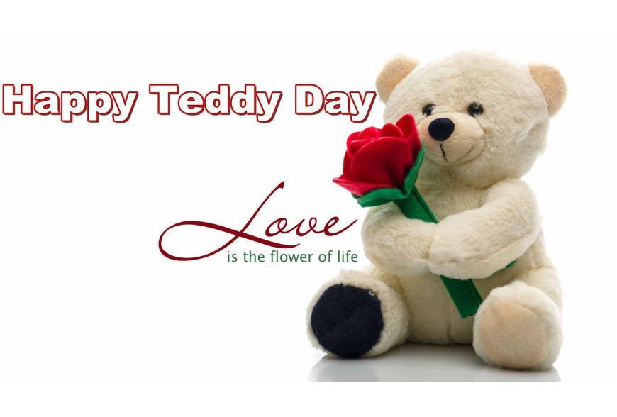 Teddy Day Treats: Top 10 Adorable Products to Snag this Season!